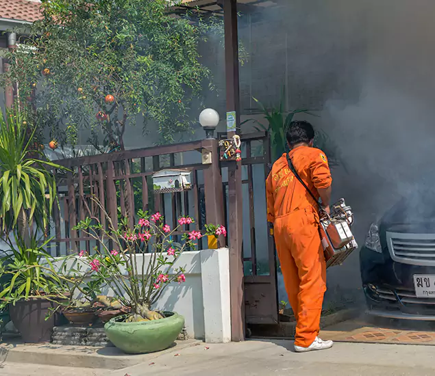 Your Proven Mosquito Fogging Company in Burke, VA