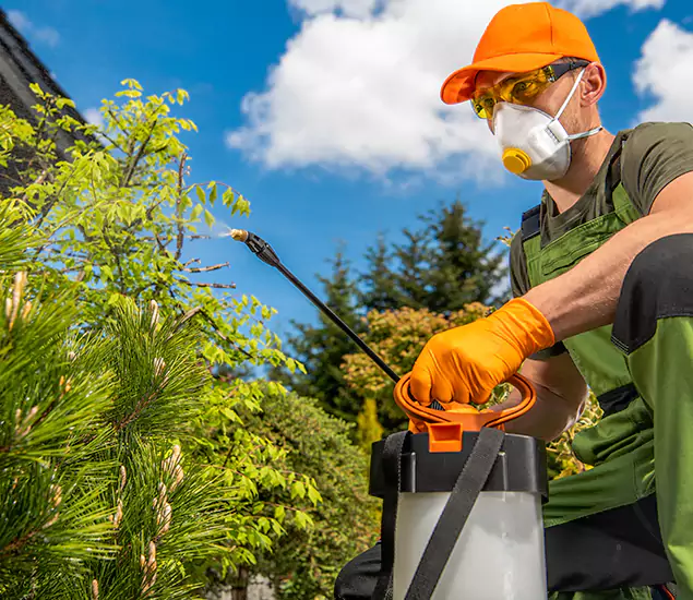 Your Best Bug Spray for Home Team in Burke, VA