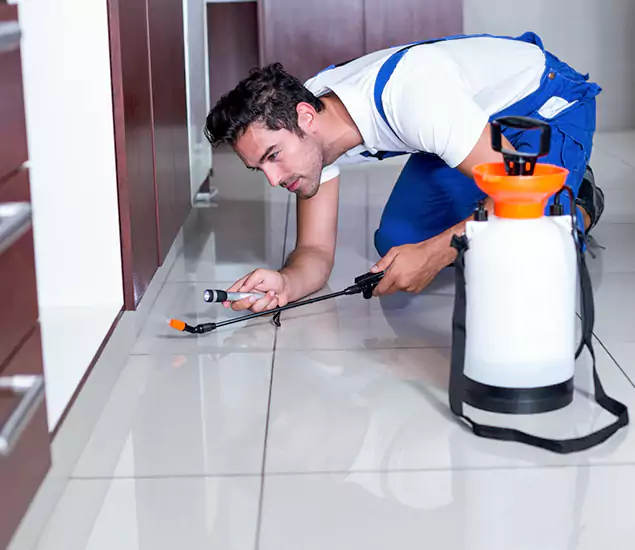 Reliable Professional Mouse Removal: Your Best Mouse Control Company in Burke, VA