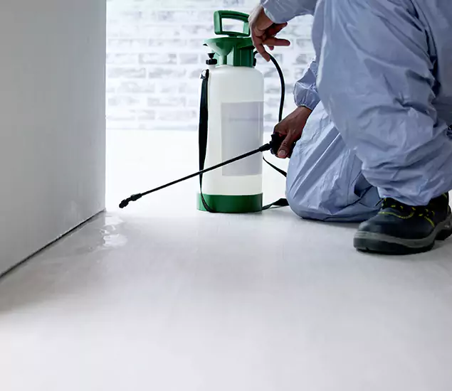 Affordable Pest Control Experts in Burke, VA