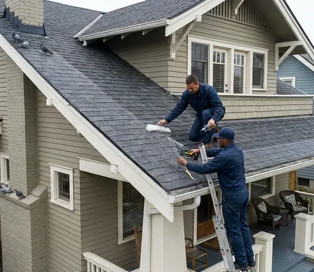 Your Pigeon Control Experts in Burke, VA