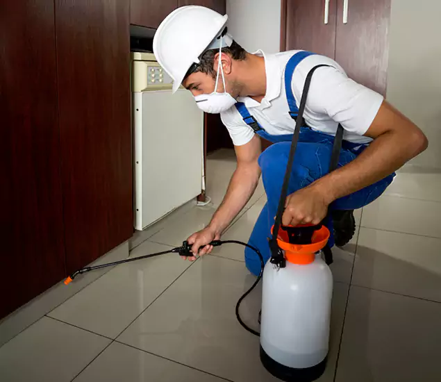 Advanced Termite Pre Treatment Experts in Burke, VA