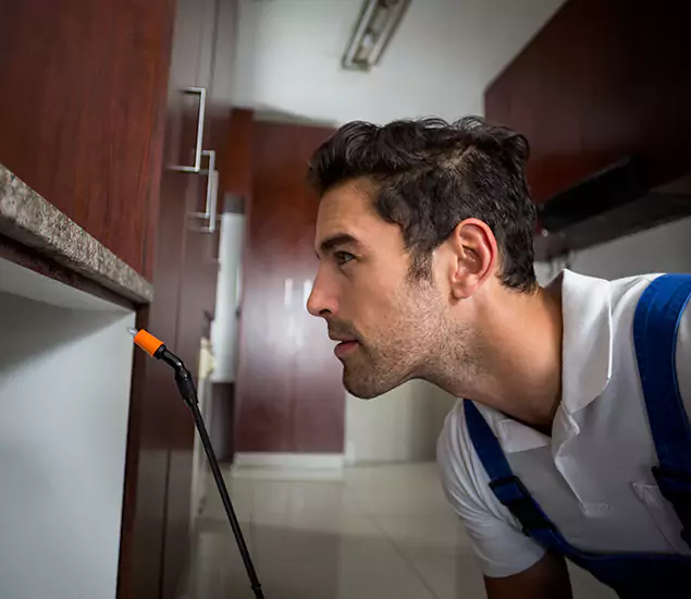Expert Rodent in Attic Removal: Your Proven Pest Specialists in Burke, VA
