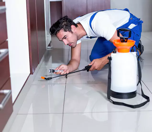 Advanced Slab Termite Treatment Experts You Can Trust&nbsp;in Burke, VA