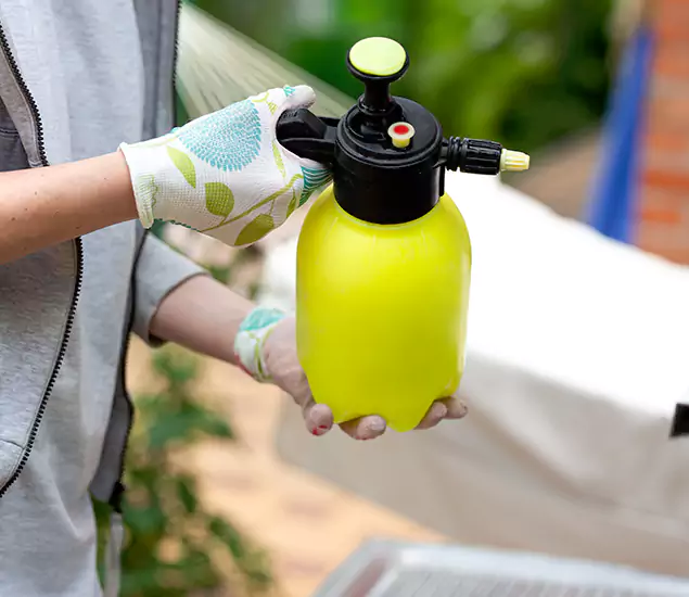 Skilled Residential Small Black Ant Service in Burke, VA