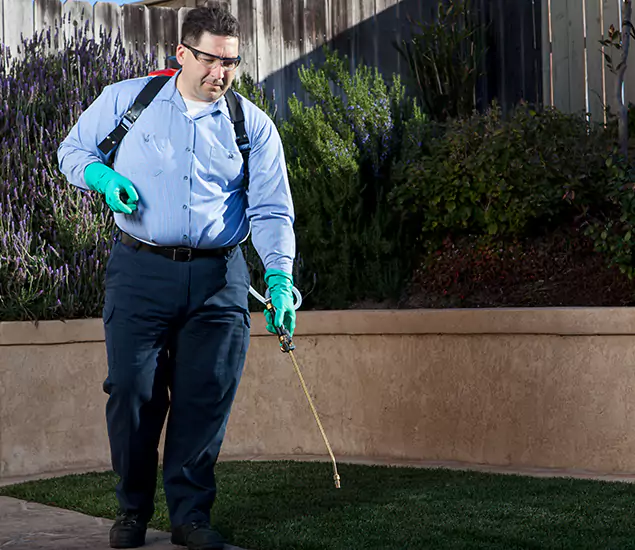 Reliable Termite Barrier Treatment Experts in Burke, VA