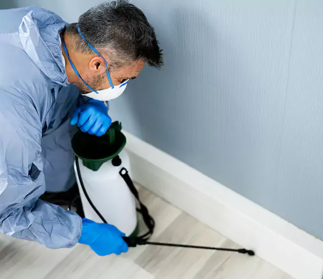 Reliable Termite Cost Experts in Burke, VA