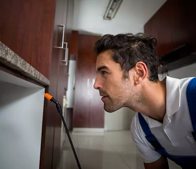Termite Inspection Cost Experts You Can Trust in Burke, VA