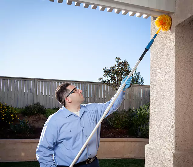 Your Trusted Wasp Removal Company in Burke, VA