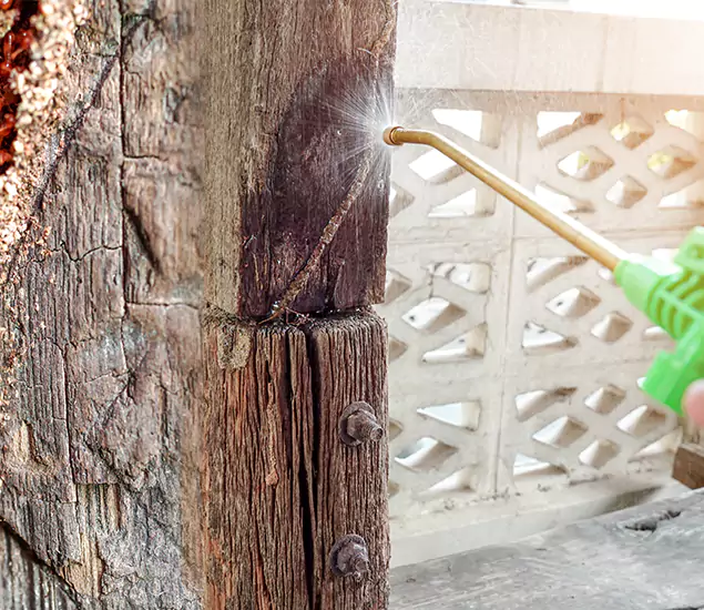About Wood Termite Treatment Services in Burke, VA