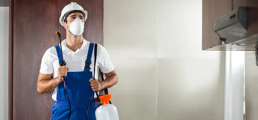 Per Room Bed Bug Cost in Burke