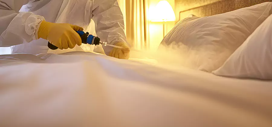 Bed Bug Steam Treatment Services in Burke