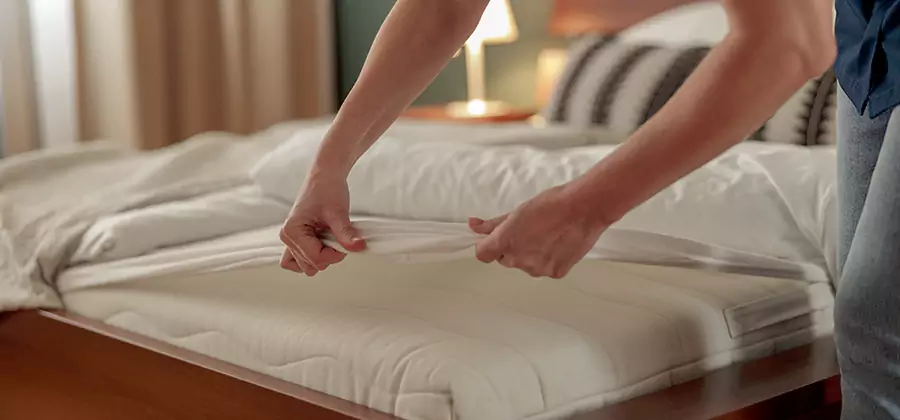 Bed Bug Extermination Services in Burke