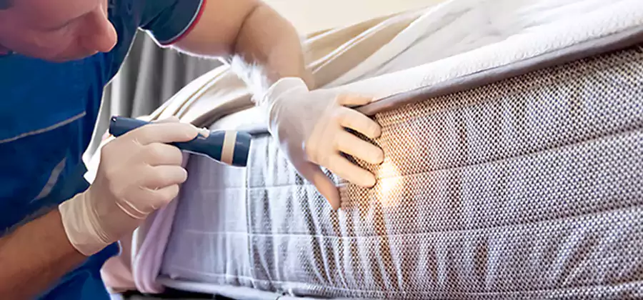 Residential Bed Bug Treatment Cost in Burke