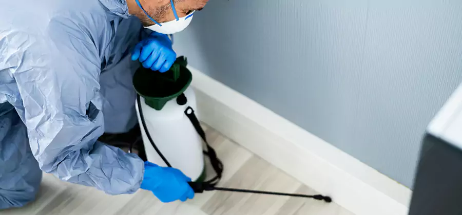 Fumigate Apartment Roaches in Burke