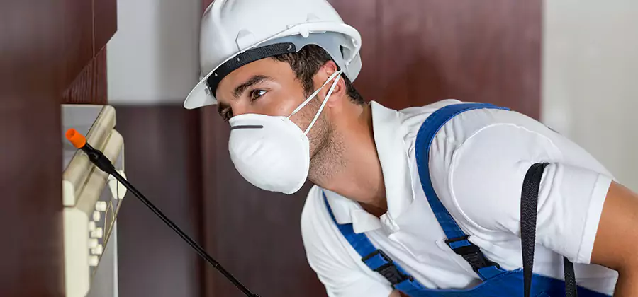 Injection Foam Treatment for Drywood Termites in Burke