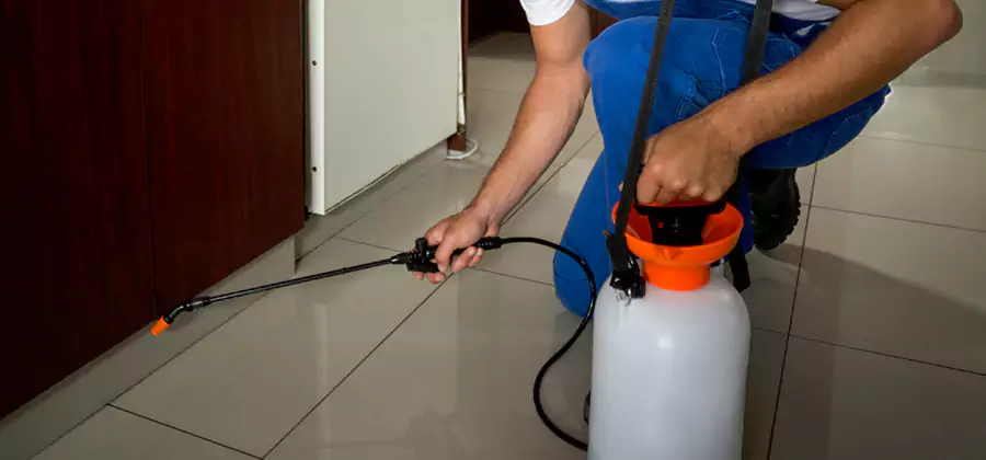 Indoor Mosquito Treatment in Burke