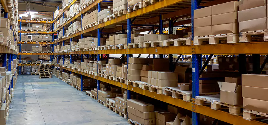 Warehouse Pest Control in Burke