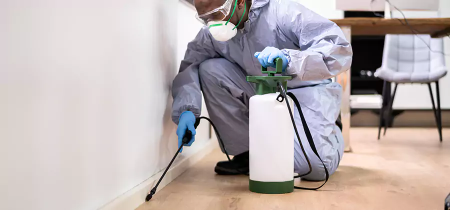 Long Lasting Mosquito Treatment in Burke