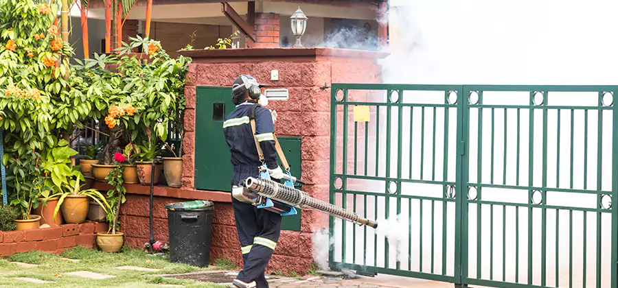 Backyard Mosquito Foggers Service in Burke