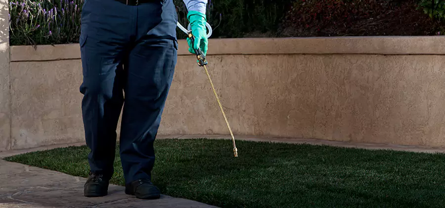 Soil Treatment for New Construction Termites in Burke