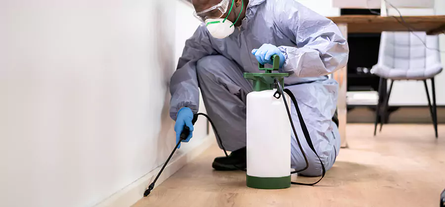 No Tent Termite Extermination With Electric Tool in Burke