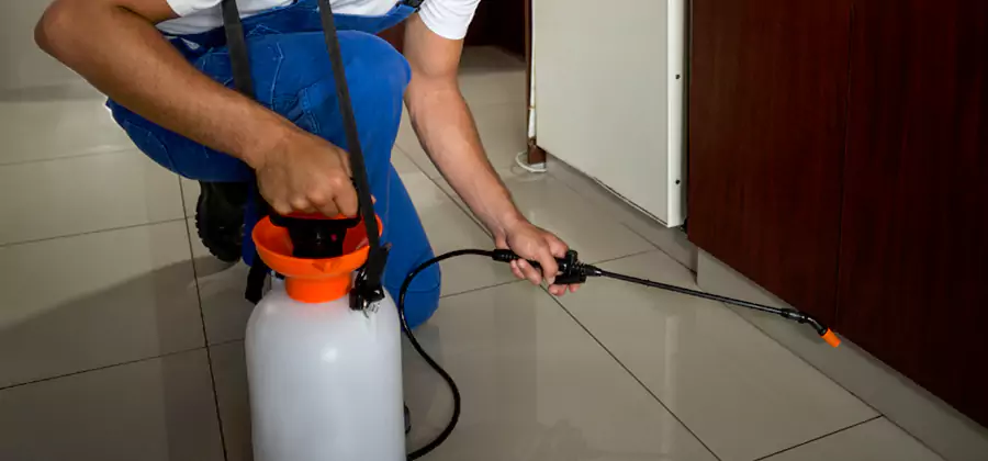 One Time Termite Control in Burke