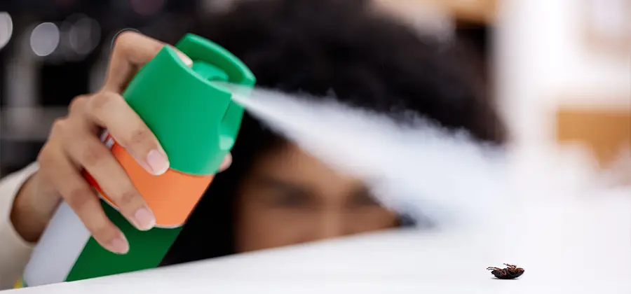 Child Safe Bed Bug Treatment in Burke