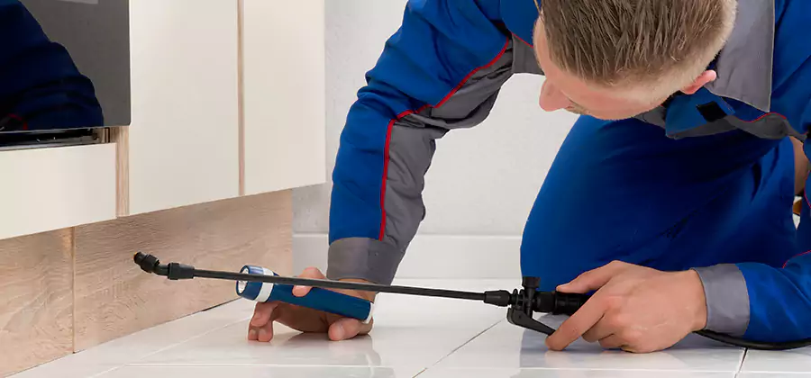 Moisture Treatment For Termite Control Service in Burke
