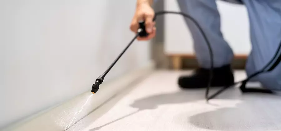 Direct Termite Injection Treatment in Burke
