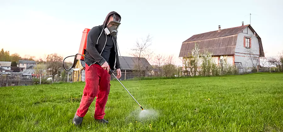 Flea and Tick Pest Control in Burke