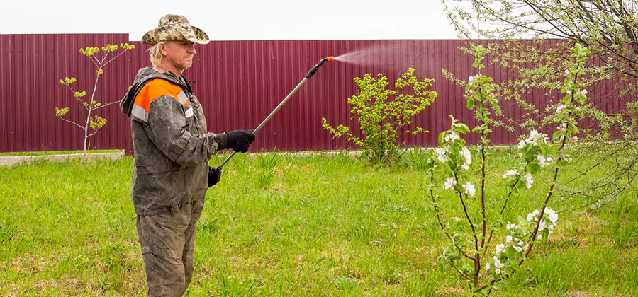 Flea and Tick Spray for Yard in Burke