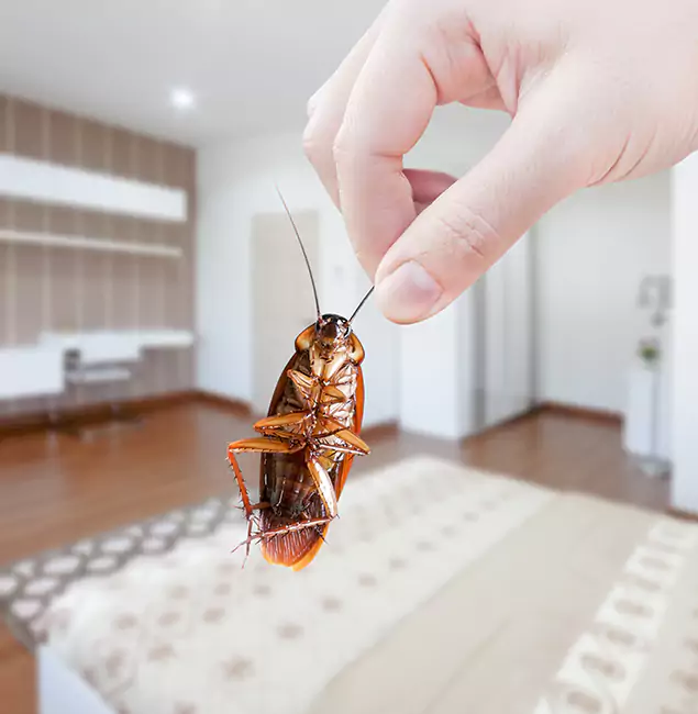 Why Burke Pest Control Pro Stand Out for Bed Bug Fumigation in Burke, VA?