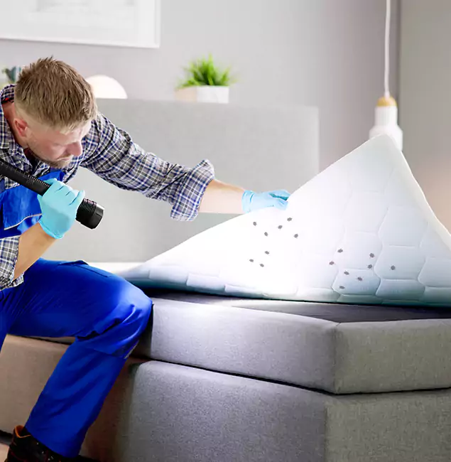 Why Choose Burke Pest Control Pro in Burke, VA?