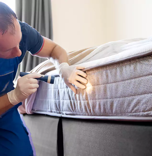 Why Choose Burke Pest Control Pro for Bed Bug Services in Burke, VA?