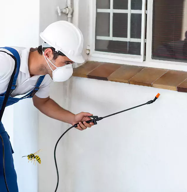 Why Burke Property Owners Choose Burke Pest Control Pro for Bee Nest Removal?