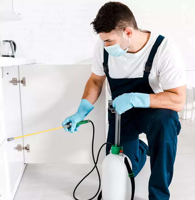 Why Choose Burke Pest Control Pro for Emergency Pest Control in Burke?