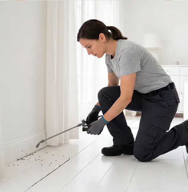 Why Burke, VA Property Owners Trust Burke Pest Control Pro for Fire Ant Control?