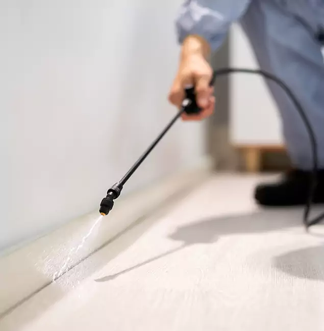 Why Choose Burke Pest Control Pro for Termite Treatment in Burke, VA?