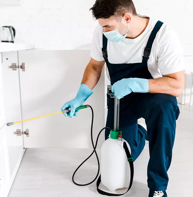 Why Choose Burke Pest Control Pro for Indoor Pest Control in Burke, VA?