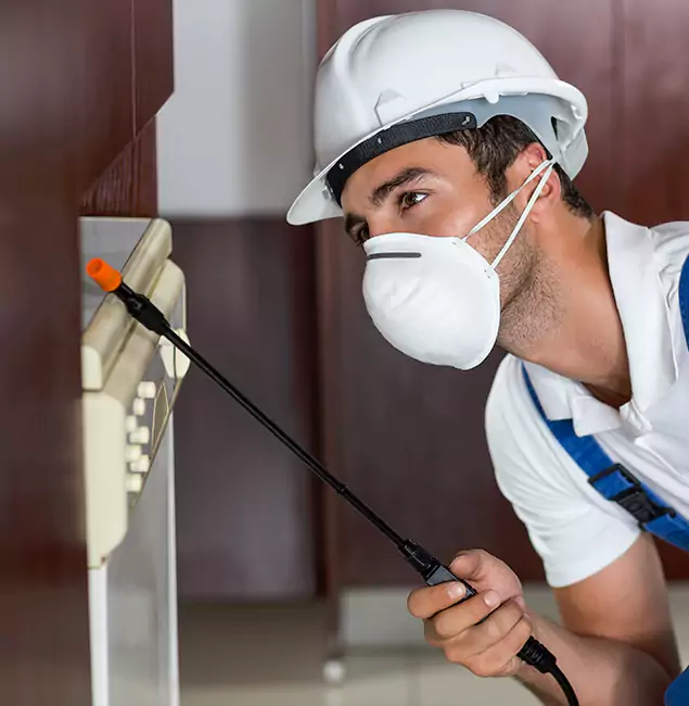 Why Burke Homeowners Rely on Burke Pest Control Pro for Tick Treatment?
