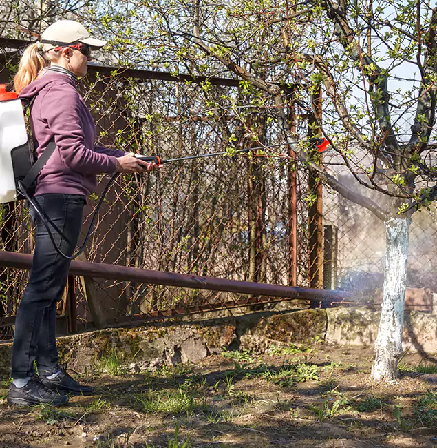Why Burke Homeowners Choose Burke Pest Control Pro for Mosquito Abatement?