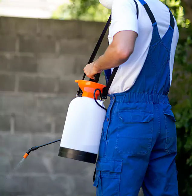 Why Burke Homeowners Rely on Burke Pest Control Pro for Mosquito Control?