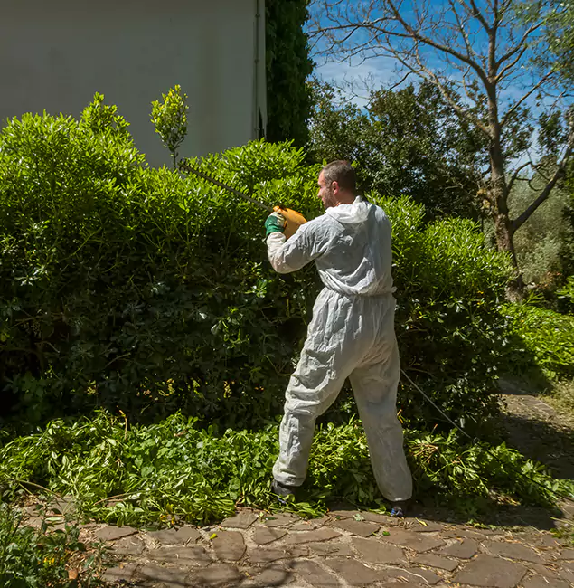 Why Burke Pest Control Pro Leads Mosquito Control in Burke, VA?