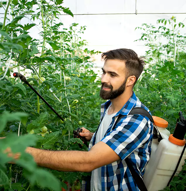 Why Burke Homeowners Choose Burke Pest Control Pro for Mosquito Spraying?