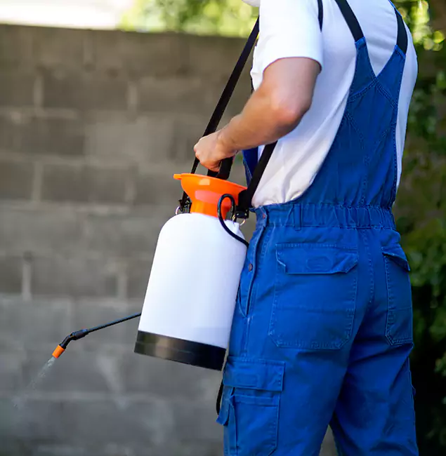 Why Burke Pest Control Pro Delivers the Best Mosquito Control in Burke, VA?