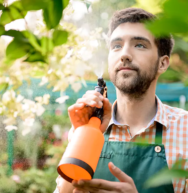 Why Burke Homeowners Call Burke Pest Control Pro for Mosquitoes in House?