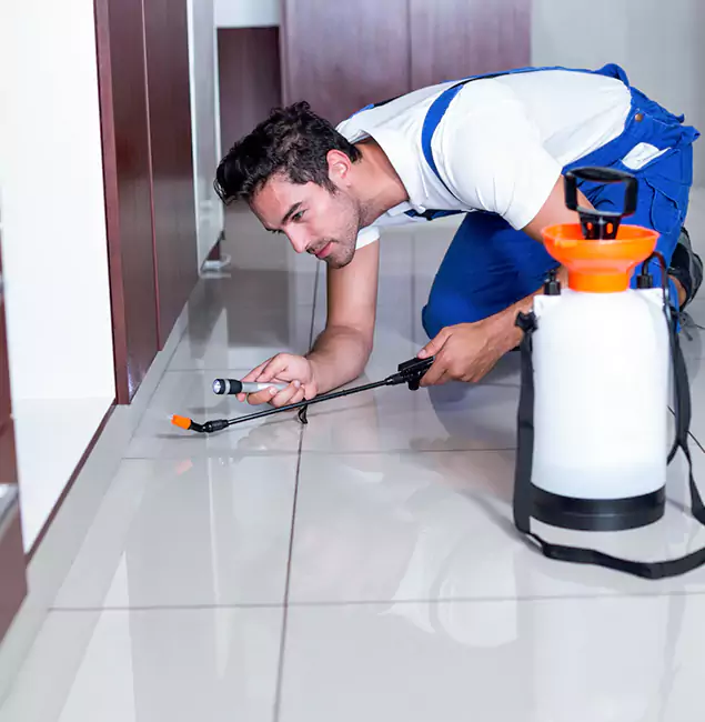 Why Burke Pest Control Pro Is the Proven Choice in Burke, VA?