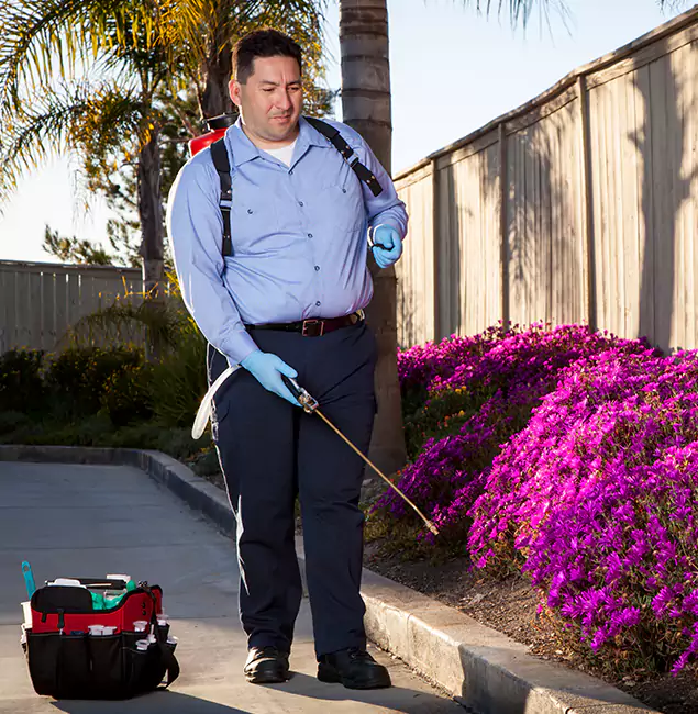 Why Choose Burke Pest Control Pro in Burke, VA?