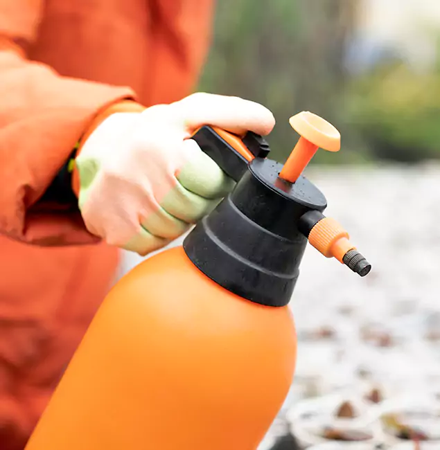 Why Choose Burke Pest Control Pro for Orange Termite Treatment in Burke, VA?